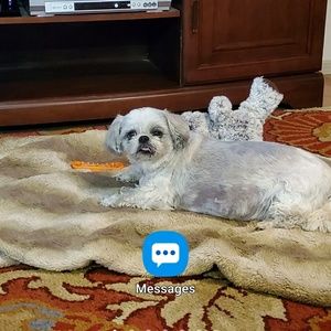 Meet your Posher, Cecilia